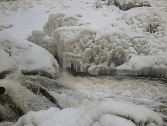 Webster Falls