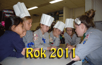 Kronika Rok 2011